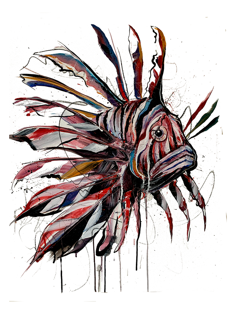 Red Lionfish Illustration facing left.
